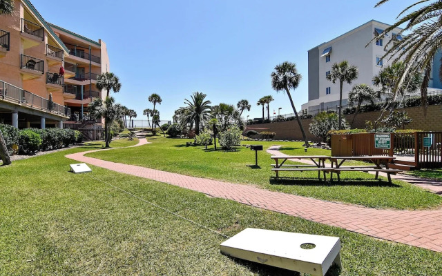 Maravilla 140 - Salt Life