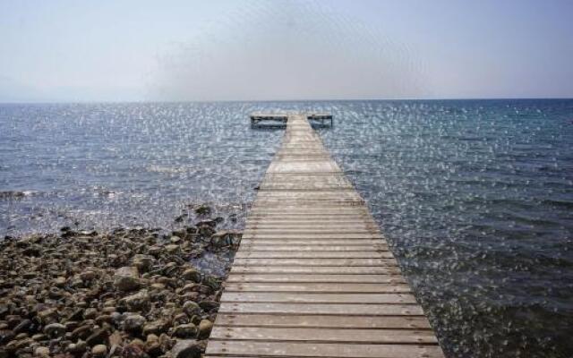 Villa the Platanus Tree