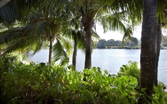 Trianon Bonita Bay