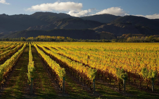Vintners Retreat