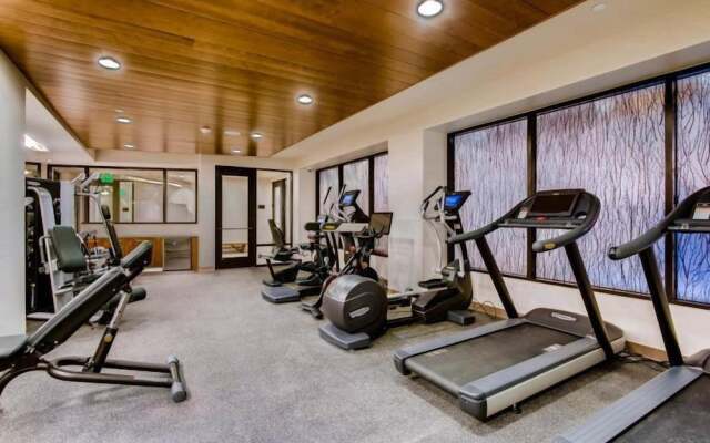 Vail Lion 1 Bedroom Mountain Vacation Rental Just Steps From the Eagle Bahn Gondola