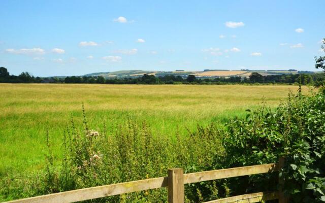 The White Horse View B&B