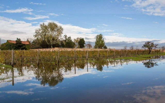 Venissa Wine Resort