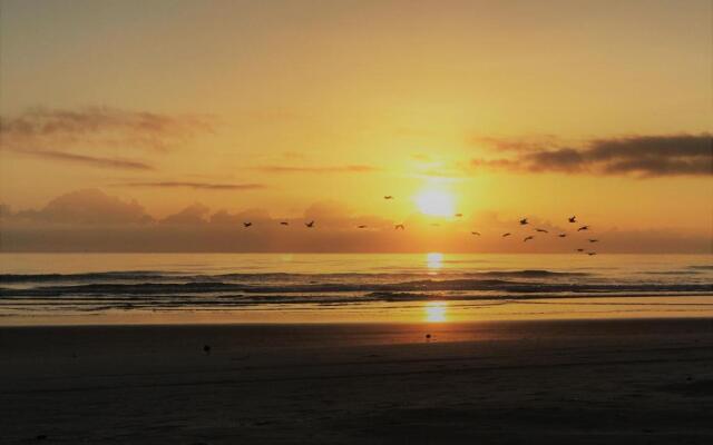 Bob's Beachin Dream - 5040S