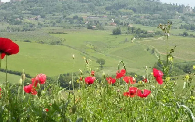 Agriturismo La Fraternita