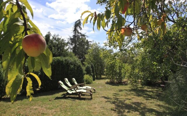 South Tarn Gites - Deluxe and Tranquil near Lautrec Village