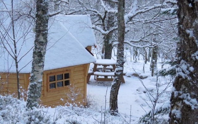 Red Fox Lodge