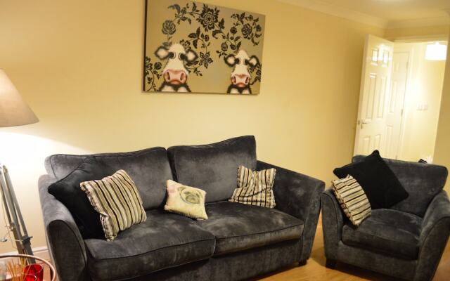 1 Bedroom Apartment in Mile End