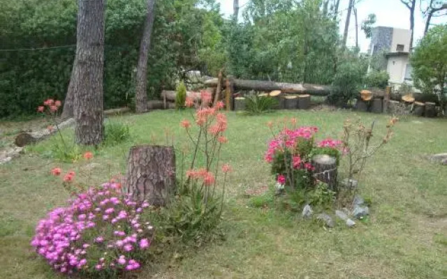 El Espinillo