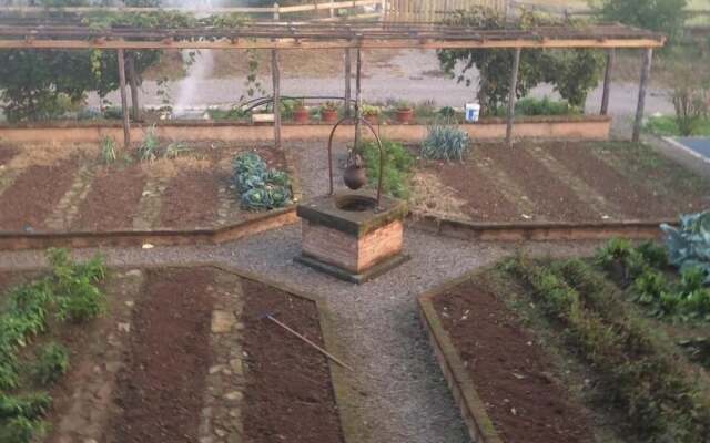 Corte Breda Agriturismo Bed & Breakfast