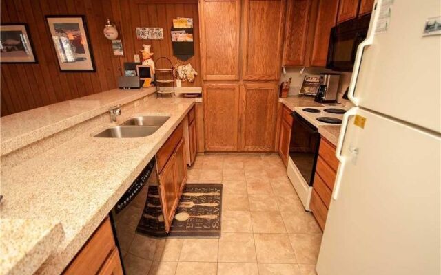 Mountainback #1, Den