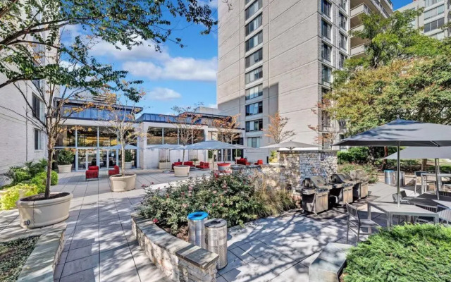 Modern Apartment At Crystal City