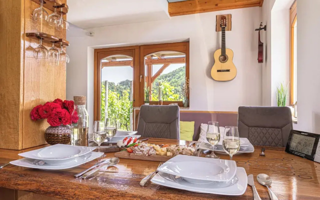 Vineyard cottage Matej