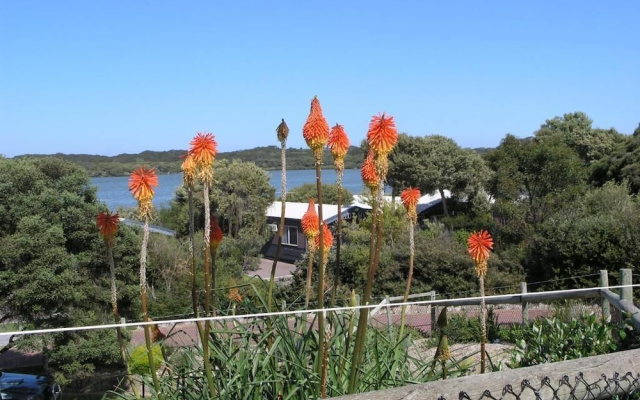 BIG4 Robe Lakeside Tourist Park