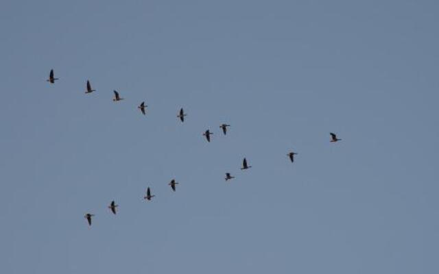 База активного отдыха Славянское подворье