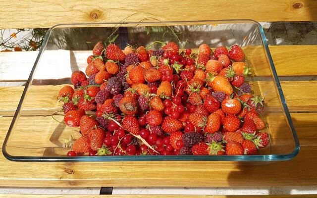 Chambre d'hôtes Liz'A