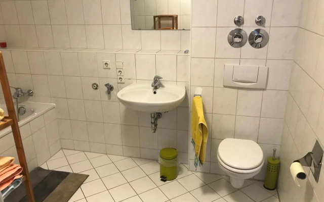 Exklusive Wohnung mit Dachterrasse in Schleußig