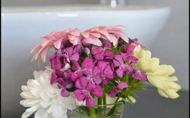 Vineyard Views Country House