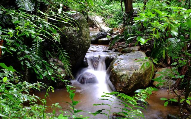 Baan Suphanbhum - Teddu Inn Maekampong