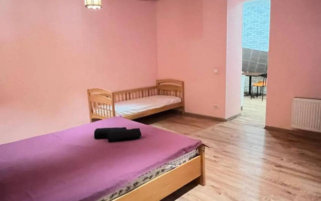 Apartment Kotliarska st.-Moisha House