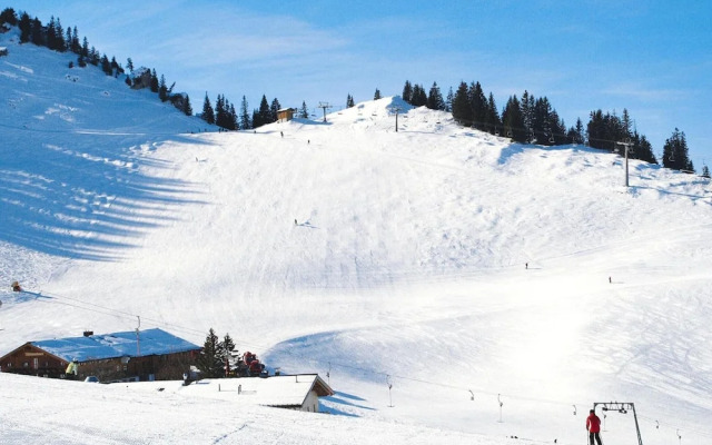 Nice Apartment in Bayrischzell With Sauna