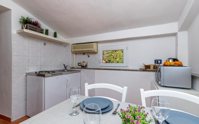 Mansarde Apartment in Rovinj