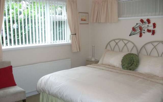 Bacchus - Rooms with a View