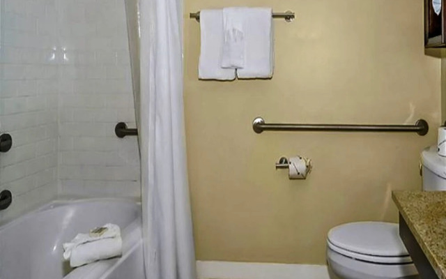 Elation 5513 by RedAwning