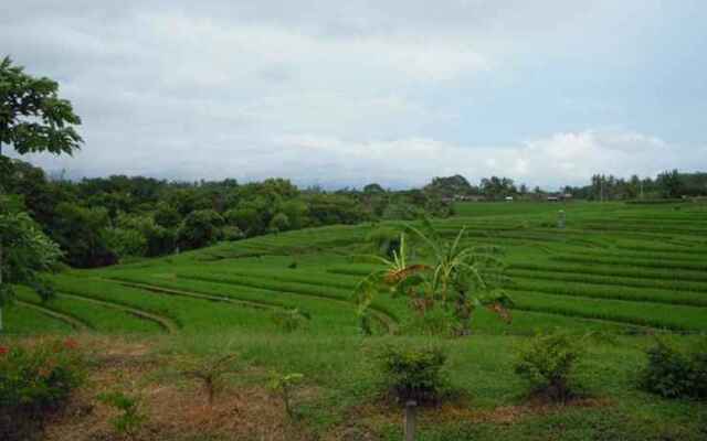 Bali Japan Village