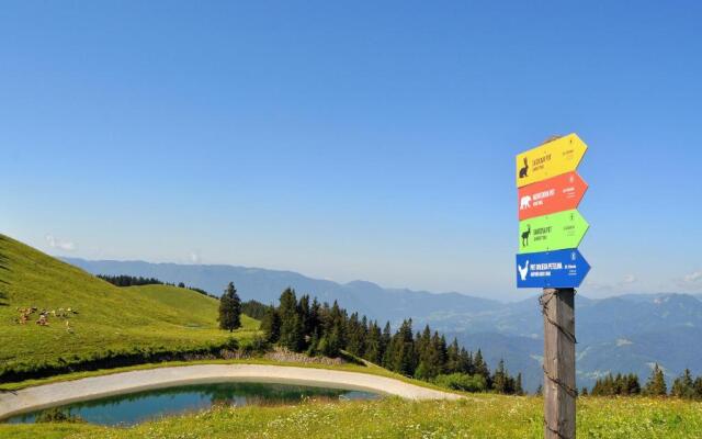 Apartment MOUNTAIN PARADISE Golte