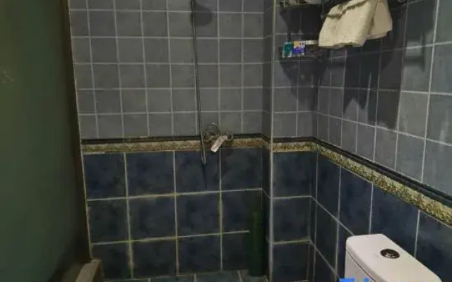 Urumqi Zebra Theme Hotel