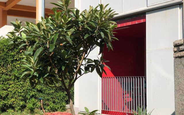 No5 Studio With Garden View