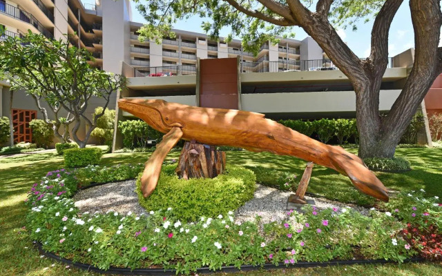 Kaanapali Shores 527