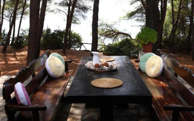 Squirrel Beach Front Villa, Metamorfosi