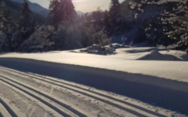 Lischa Fiesch in Fiesch