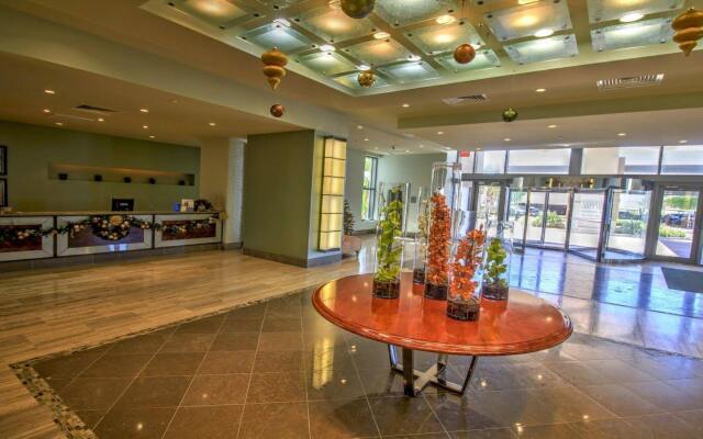 My Sapphire South Padre Island