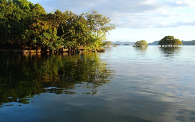 Zopango Orchids Island