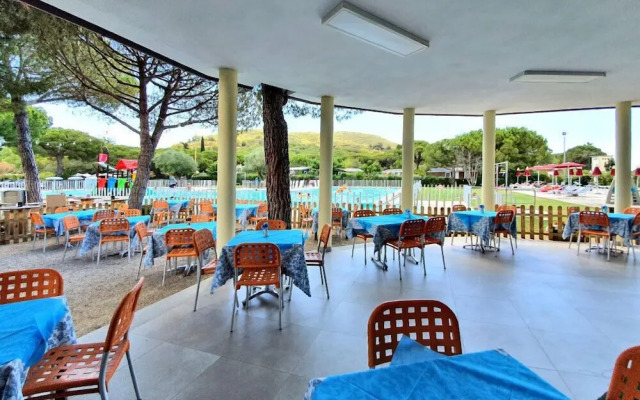Camping Lacona Pineta
