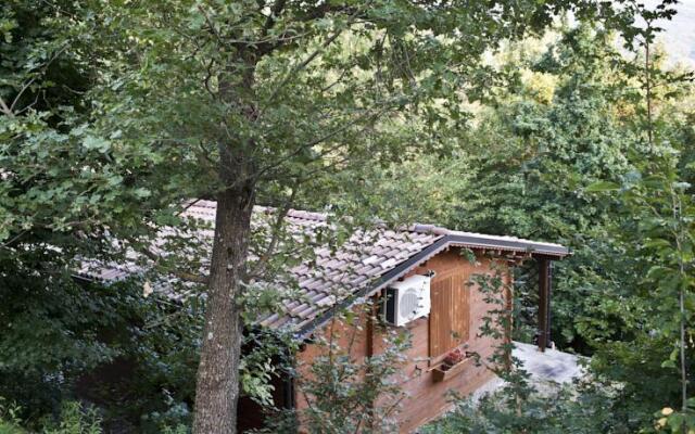 Parco Matildico Di Montalto