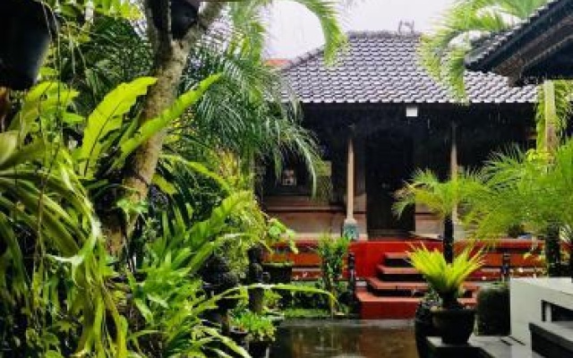 Pangkung House – Outside – Ubud