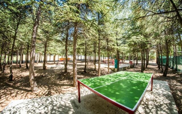 Destination Bulgaria 2000 Summer Private Apartments Crown, Imperial, Panorama