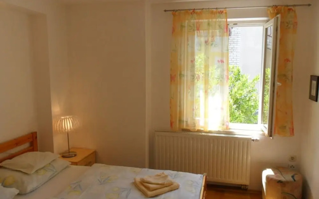 Zlato - With Pool - SA5 Maslina