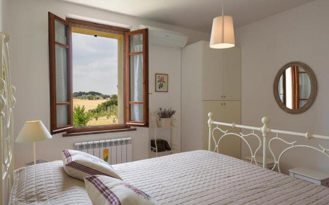 Pg-c309-lfrt0at - Poggio Vistabella 10