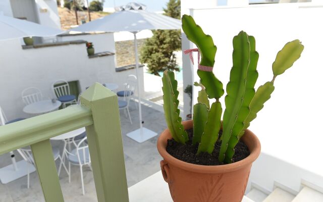 Anthos Apartments Paros