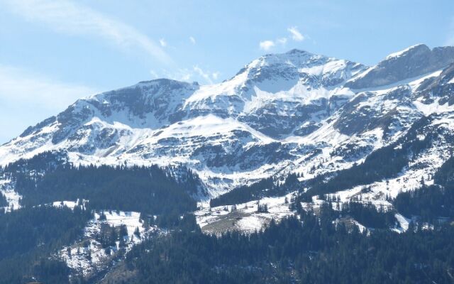 Chalet Am Acher 3