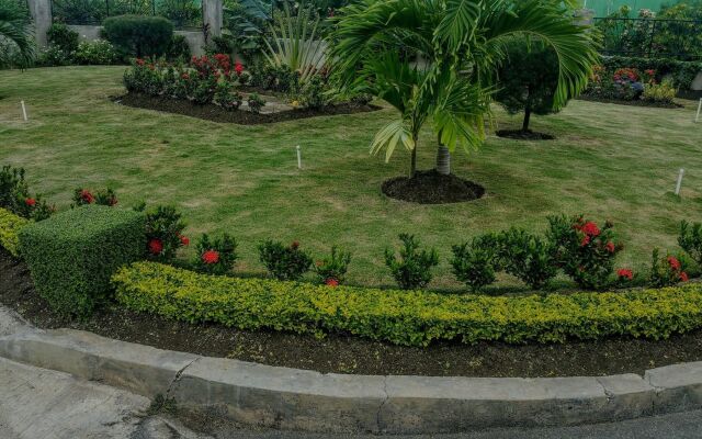 Fern Court Apartment With Oceanic View