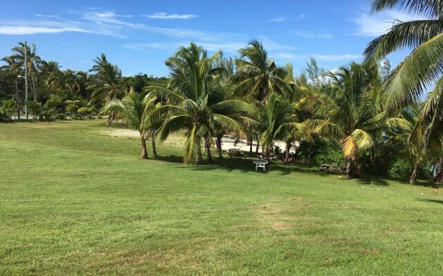 Butterfly Haven by Living Easy Abaco