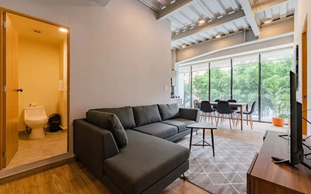 Roma Norte Apartments by VH