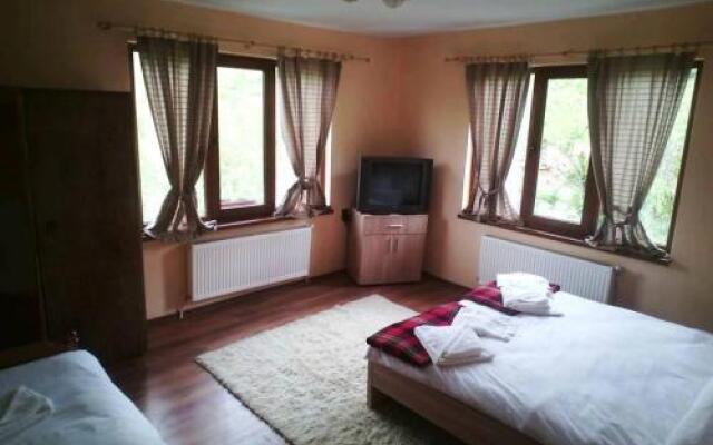 Guest House Bor