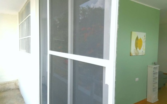 Marcella By Perlitas Home